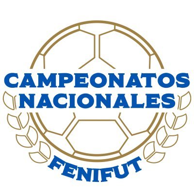 Cuenta oficial de los Campeonatos Nacionales Profesionales de fútbol organizados por @fenifutnica