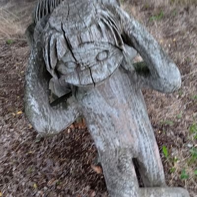 たどぅーさんのプロフィール画像