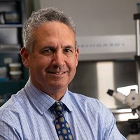 Teitell Lab (@teitelllab) 's Twitter Profile