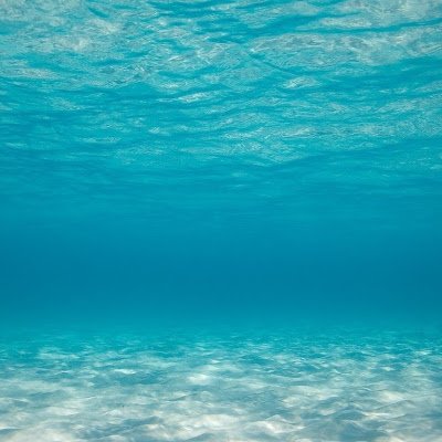 pnr1ed's profile picture. 