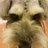 rudy_franz's profile image