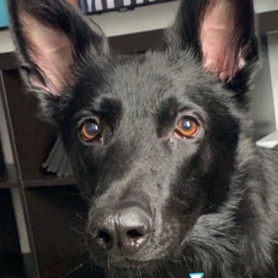 sarbryenton's profile picture. 