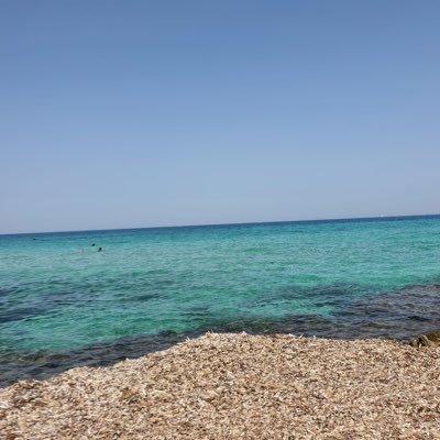 🍀🦢. اي يَومَيَّ مِنَ المَوتَ أَفِر يَومَ لا يَقدِرُ أَو يَومَ قَدِر    يَومَ ما قُدِّرَ لا أَرهَبُهُ وَإِذا قَدِّرَ لا يُنجي الحَذَر