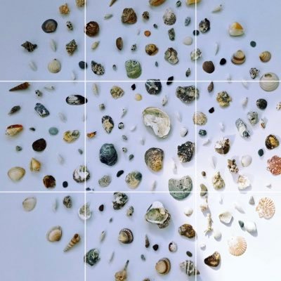 federikagucci's profile picture. 