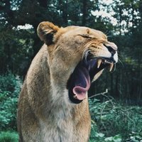 Ellie Angharad 🏳️🌈🏴 (@ellie_angharad) 's Twitter Profile Photo Ellie Angharad 🏳️🌈🏴 (@ellie_angharad) 's Twitter Profile Photo