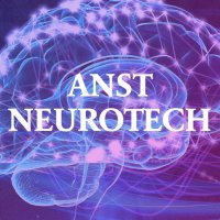 ANST Neurotech Focus Group(@ANSTNeurotech) 's Twitter Profile Photo