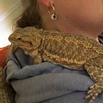 Hi I'm Sarah I have set up this page for my go fund me charity and also to meet new people and to connect and chat about all different subjects .