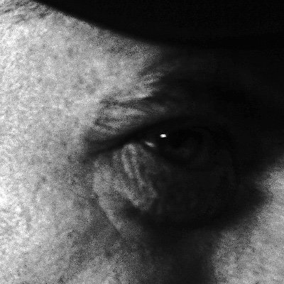 AlexPauwelsMusi's profile picture. Musician