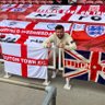 beez_ltfc's profile picture. LTFC
