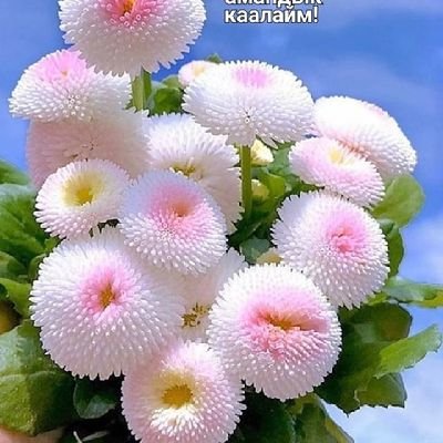 Omer__Adaleti's profile picture. 