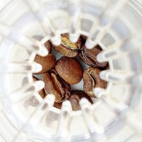 The Bean Vagrant (@thebeanvagrant) 's Twitter Profile