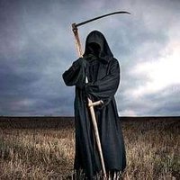 Koyali Coşkun (@kckonyali) Twitter profile photo