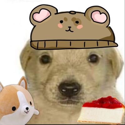 jmendezc3's profile picture. He who finds things is wise, but he who continues to seek is evermore free