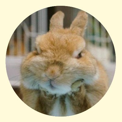 avianさんのプロフィール画像