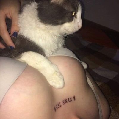 lyam11015403's profile picture. a