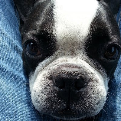 Lorolicious's profile picture. 