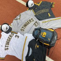 NY Stingers (@nystingers) 's Twitter Profile