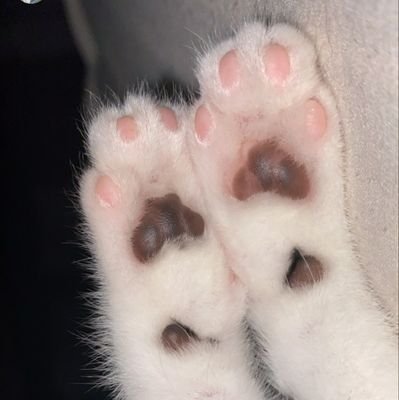 24y21un8y3u7n6's profile picture. ※LOUDｹｲｼﾞｭ推しますYouTube、配信観るだけの人APEX  ノーセプション推し꙳★*ﾟ
(*≧艸≦)
✩*.ﾟ
k-ﾎﾟﾌﾟ♪iKON、NCTｿﾝﾀﾛ❤
写真📸❤好きです。