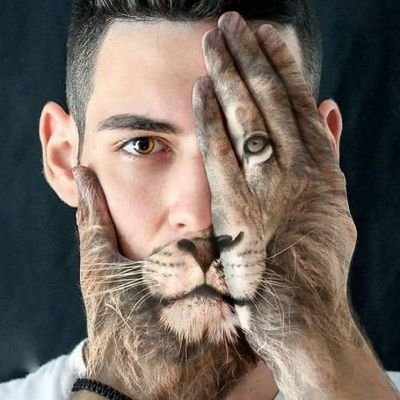 BertoXipy's profile picture. Fotos