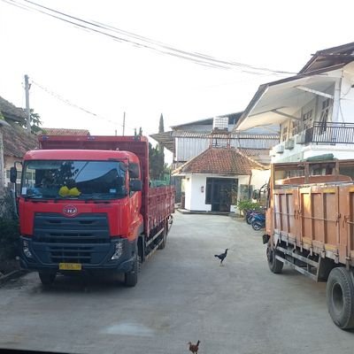 DeHaris6's profile picture. 