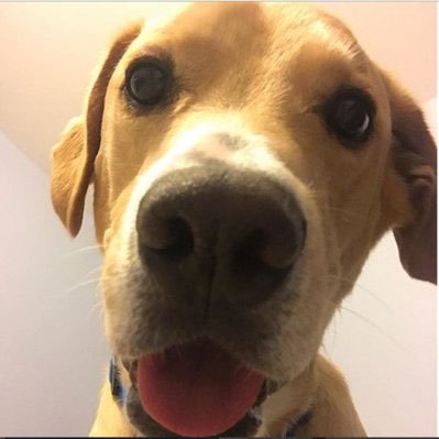 HowTheProsDoIt Profile
