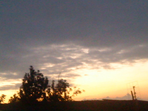 OTSIRC1's profile picture. 