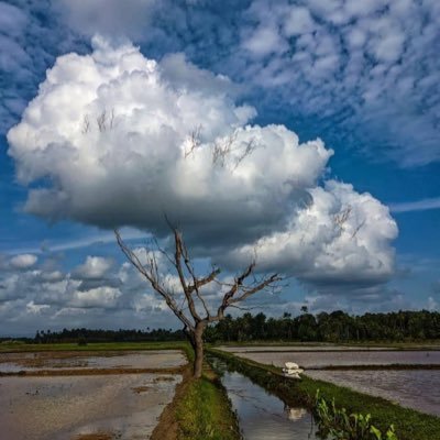 hassanealansary's profile picture. من الصعب كتابة سيرة رجل عادي