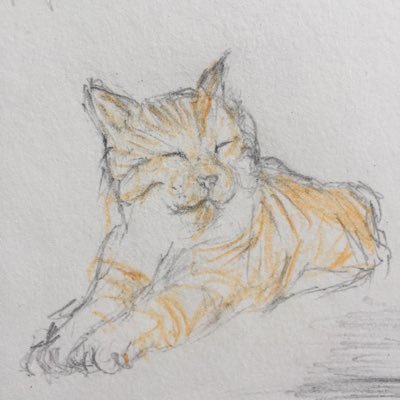 chaさんのプロフィール画像