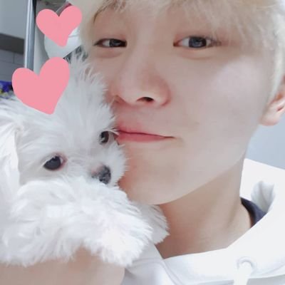 승관의 승관 ʕ•ᴥ•ʔ | https://t.co/7h2MNhc8ay