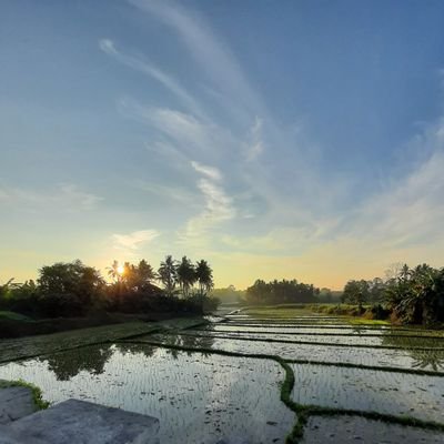 Francis04622680's profile picture. Lucena // Laguna