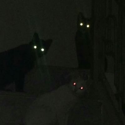 N0naNan0's profile picture. emang akun jual beli ya, makanya ga nyari mutual