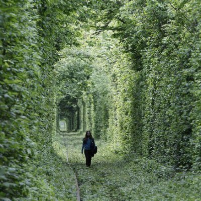 parkthepark's profile picture. 