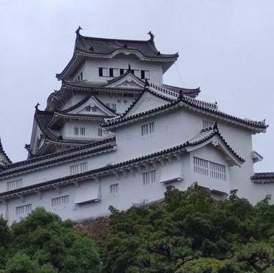 hagesarashi's profile picture. 
