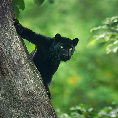 hari_bakolia's profile picture. Passion for investing, spiritually inclined, Yoga, mechanics of life, key people Warren Buffett & Elon Musk