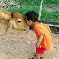 Parthasarathy. S (@parthas36066815) 's Twitter Profile