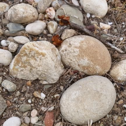 Crític i defensor de la natura a Sant Quirze del Vallés