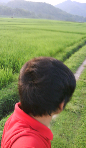 feel so sick !!
WTH