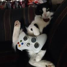 Randoms64980050's profile picture. Ksnsnd