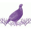 Moorland Association(@MoorlandAssoc) 's Twitter Profile Photo