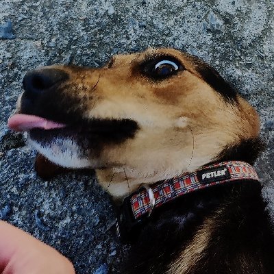 GeorgeMpampalis's profile picture. 