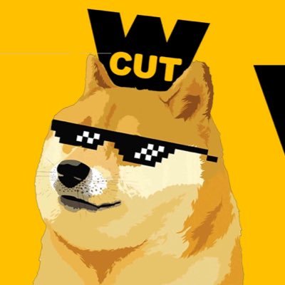 What Cut is a $doge Startup