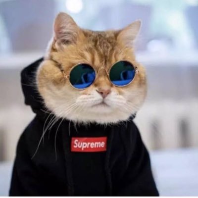 alif_ramadhanaa's profile picture. Teman Terbaik Perjalanan Anda