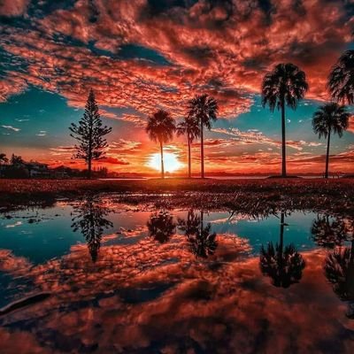 tennywyse's profile picture. C.E.O
GreensLand Konsult., link up for your petty,sme's,business https://t.co/0Tr5UMGWdM up for your goodies,kicks and wedding coats.
Tell:0249721429 WhatsApp: 0504958669.