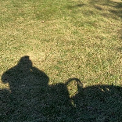 longride13's profile picture. 