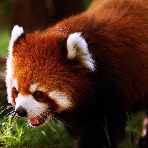 Wwwow_'s profile picture. 안녕하세요^^?