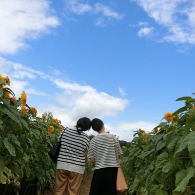 二宮くん大好き♡嵐さん大好きないい大人。 どーでもいいことばっか呟いてます。