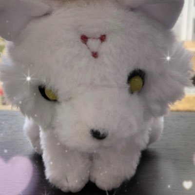 みやびーぬさんのプロフィール画像