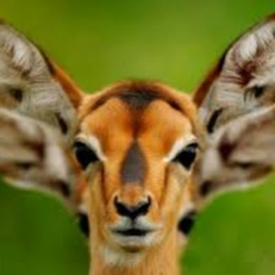 FrankKarige's profile picture. Web Developer | Content Writer | Academic Writer/Tutor
Email me for all your web development needs.
fkarige@gmail.com