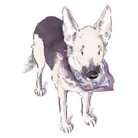 🇺🇦Sammy the Hound & RIP German Shepherd Sadie 🌈(@GermanSadie) 's Twitter Profile Photo