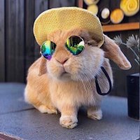 あめ(みさだょ) (@fylkey) 's Twitter Profile Photo